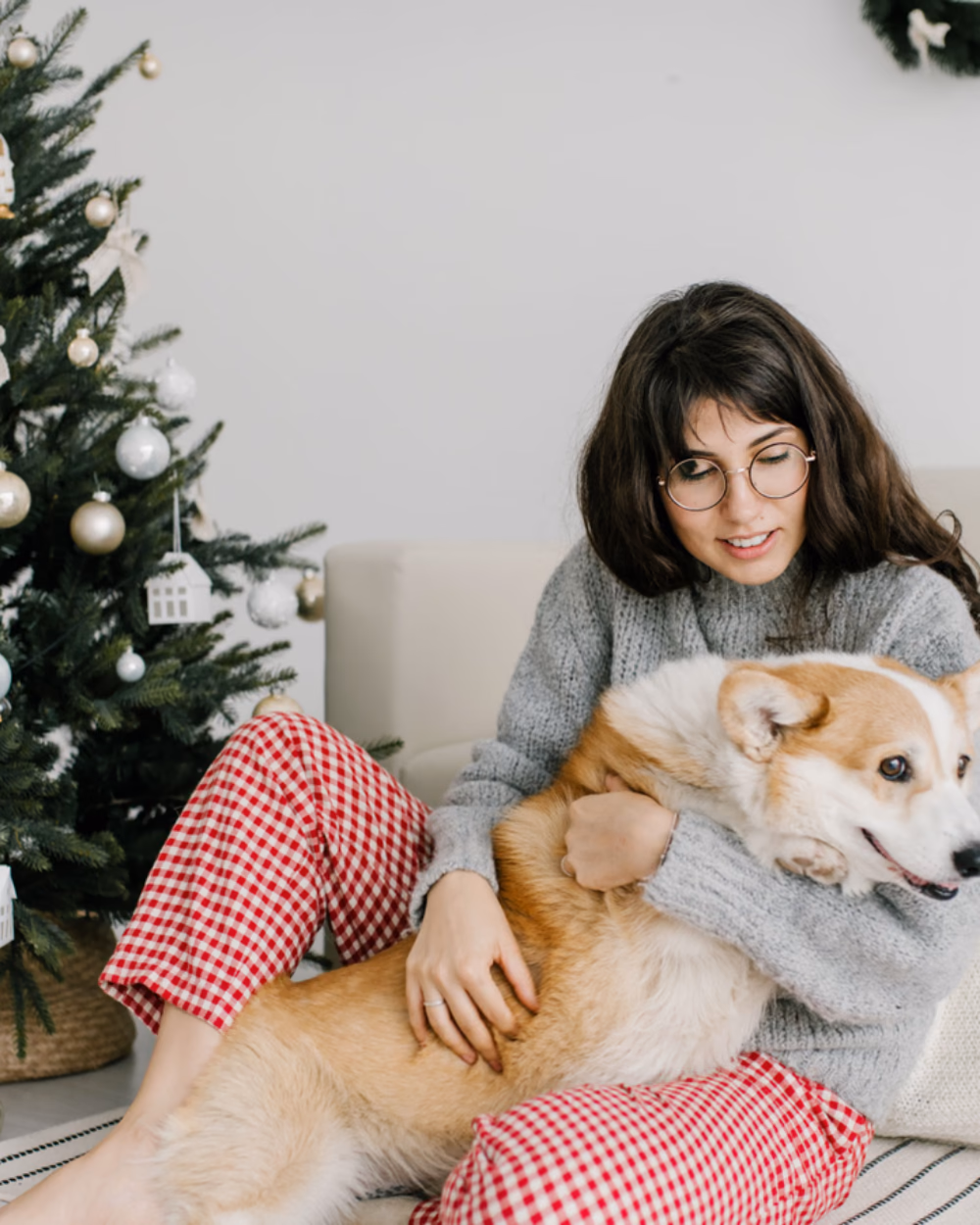 Featured image for Christmas Gifts for Dogs and Cats Worth Buying, 2026