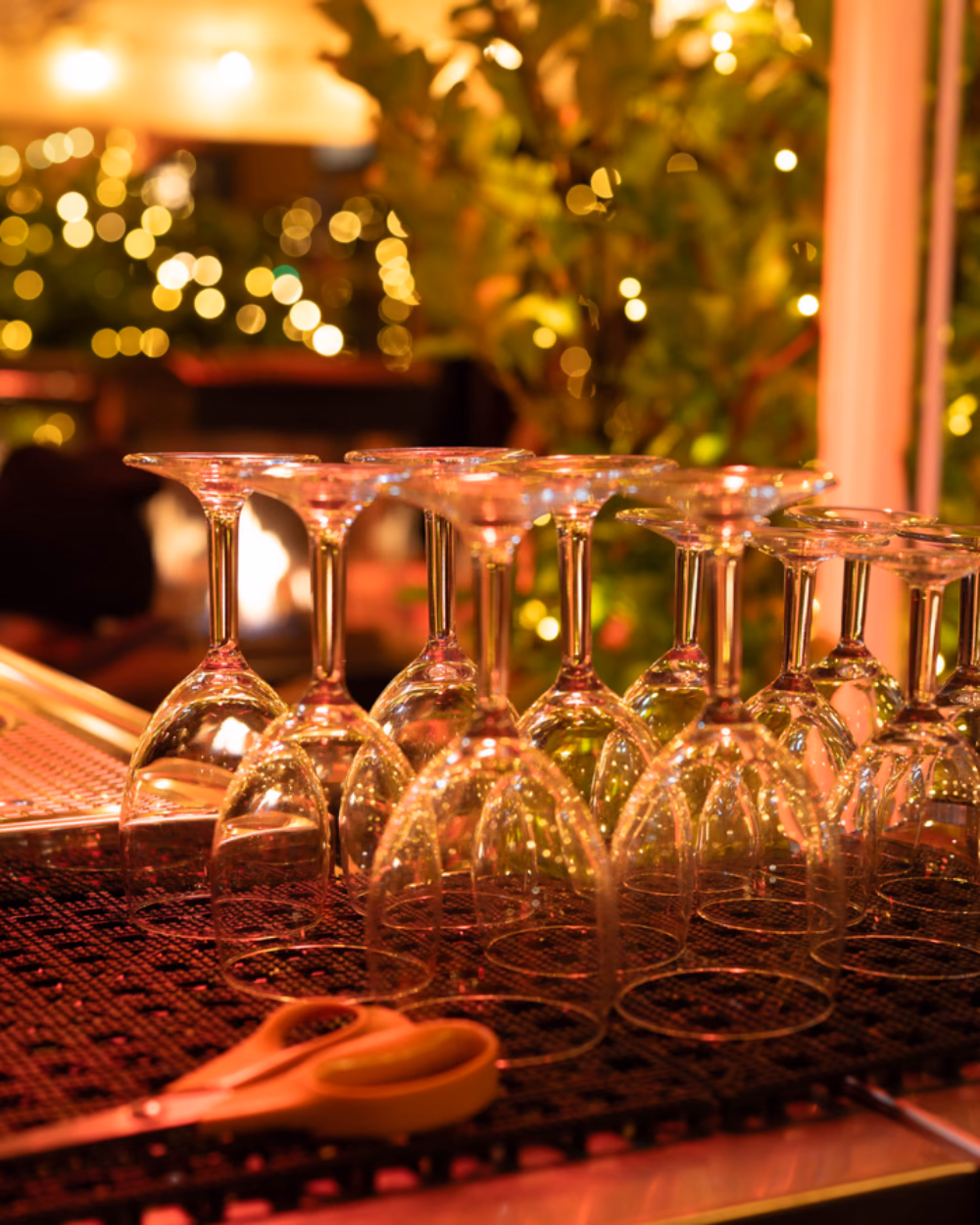 Featured image for Beverage Fridge or Wine Fridge: The Temperatures Differ