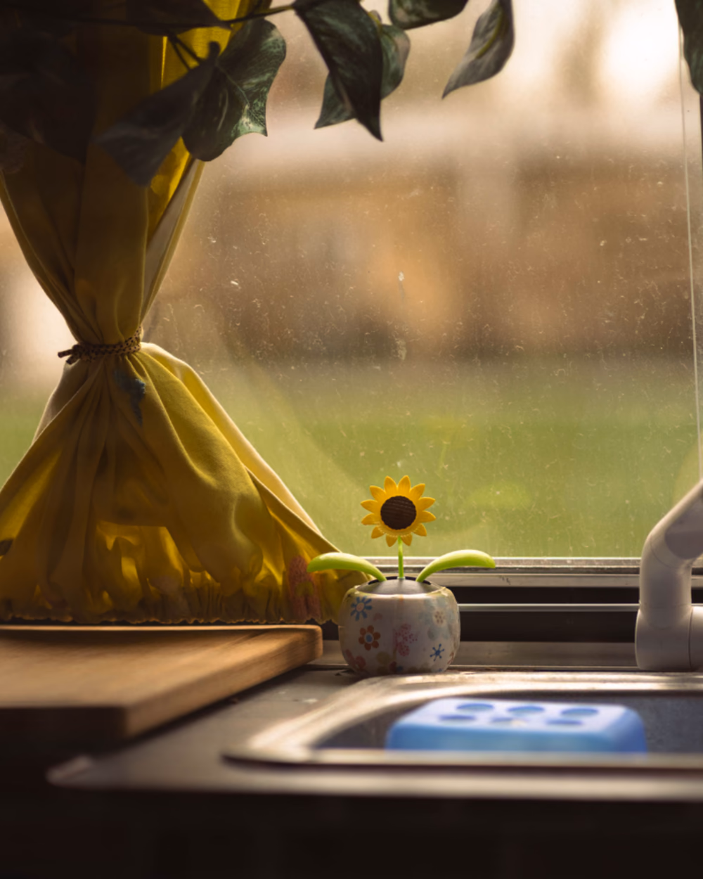 Featured image for Brita or Waterdrop: Which Certification