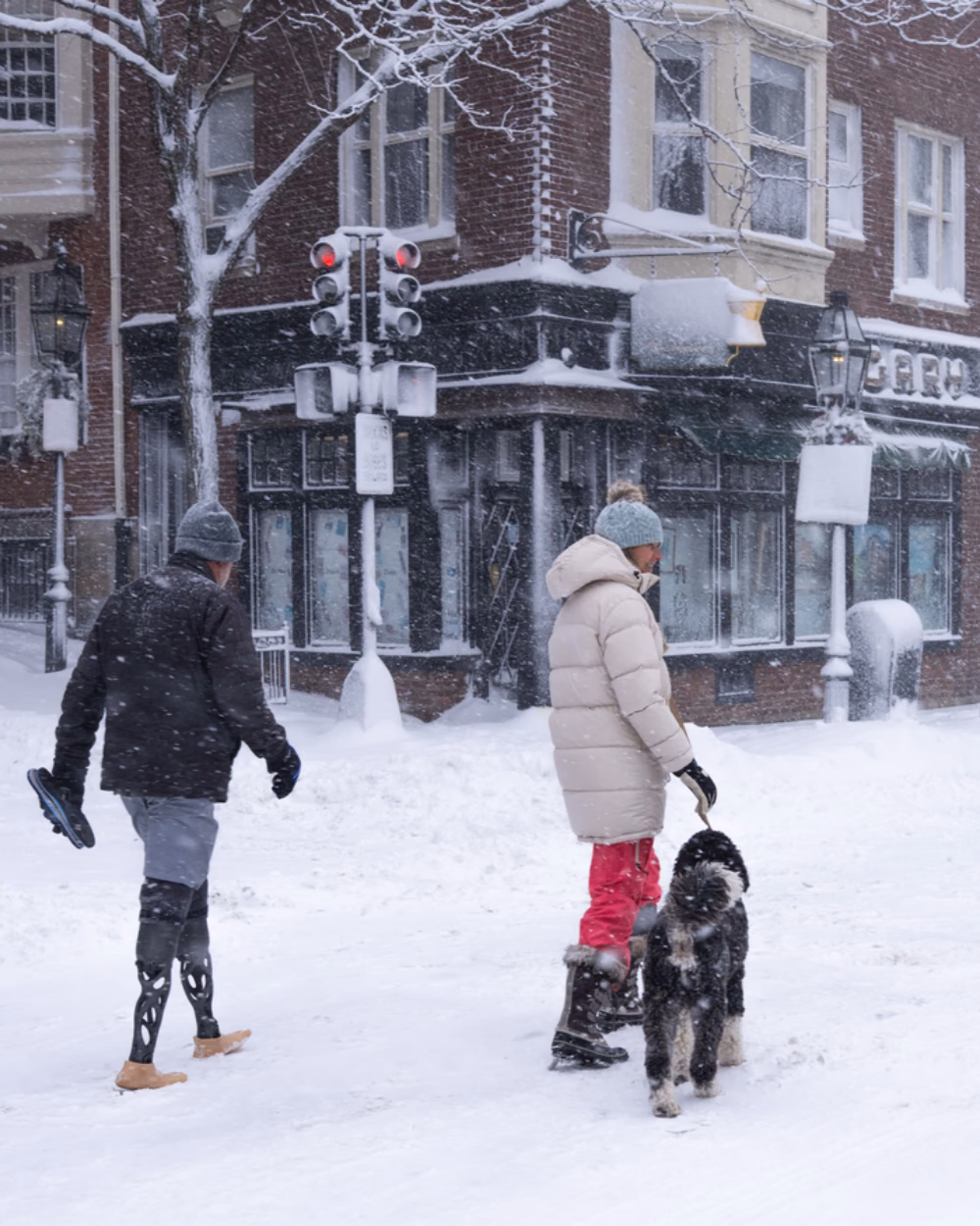 Featured image for Dog Paws and Winter Road Salt: Booties, Balm and a Towel