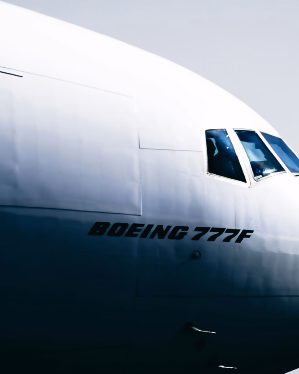 Featured image for Flying With a Dog: The Carrier Rules