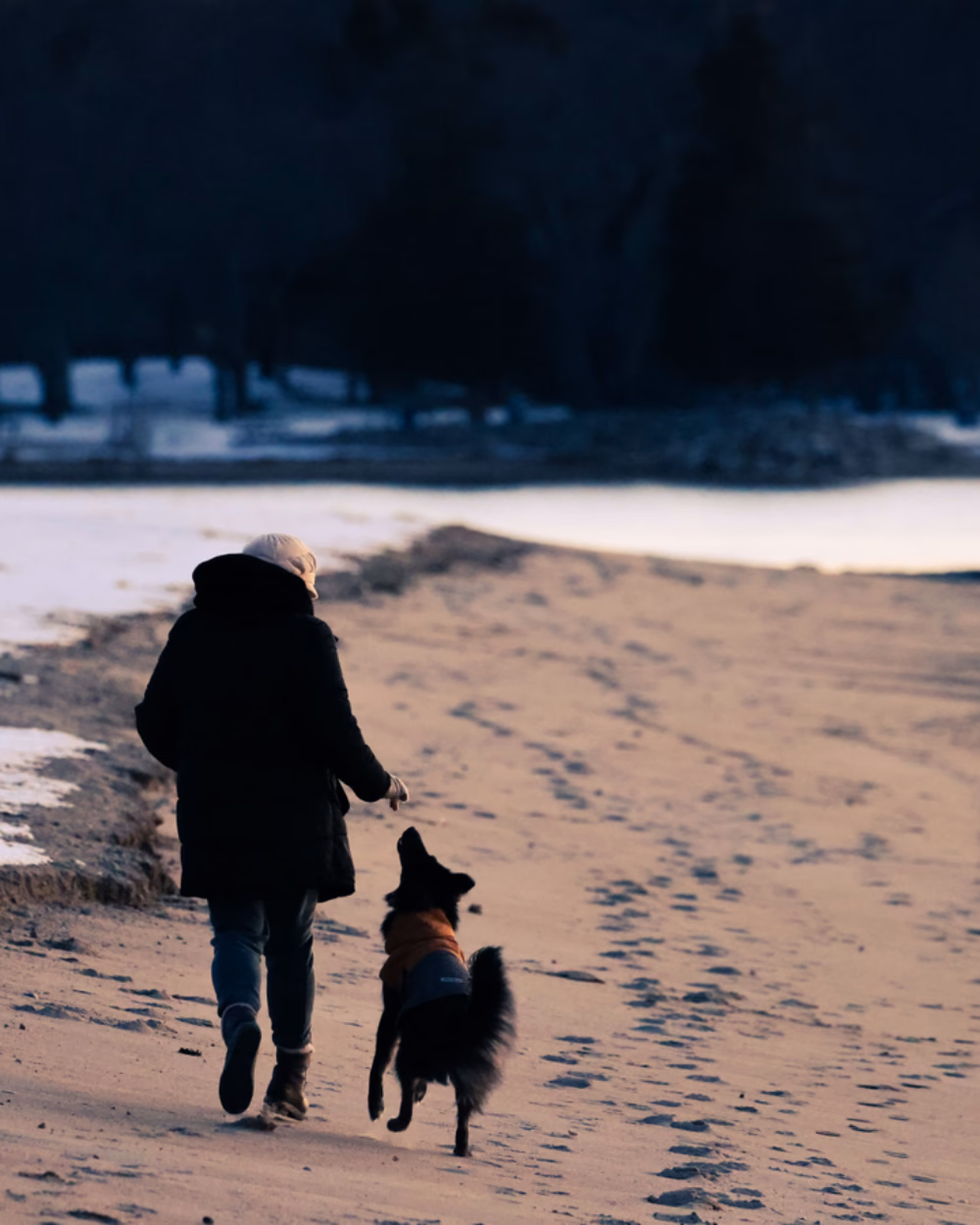 Featured image for The Kuoser Dog Coat, and the Velcro Question