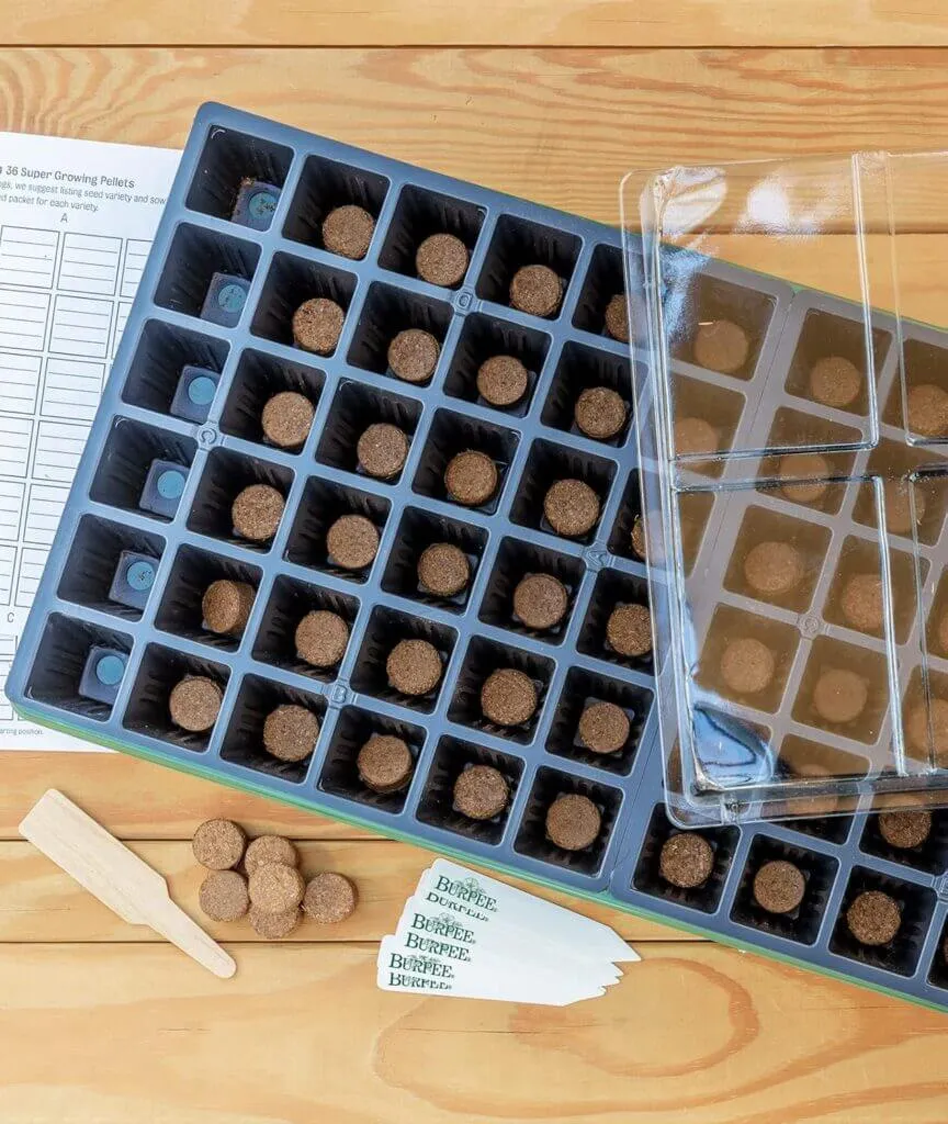 Easy Plant Starter Kits