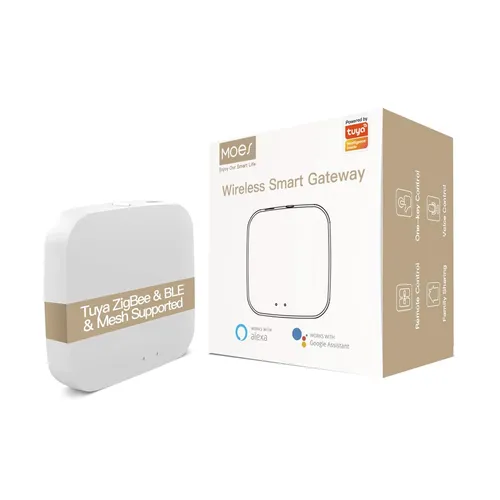 Home Assistant (HA)